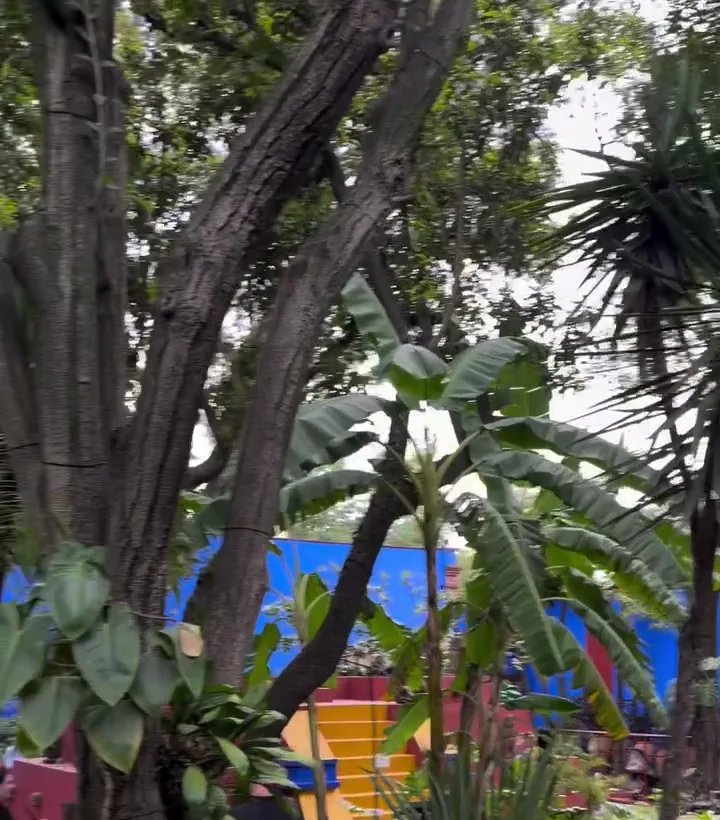 Jardín de la Casa Azul de Frida Kahlo en Ciudad de México