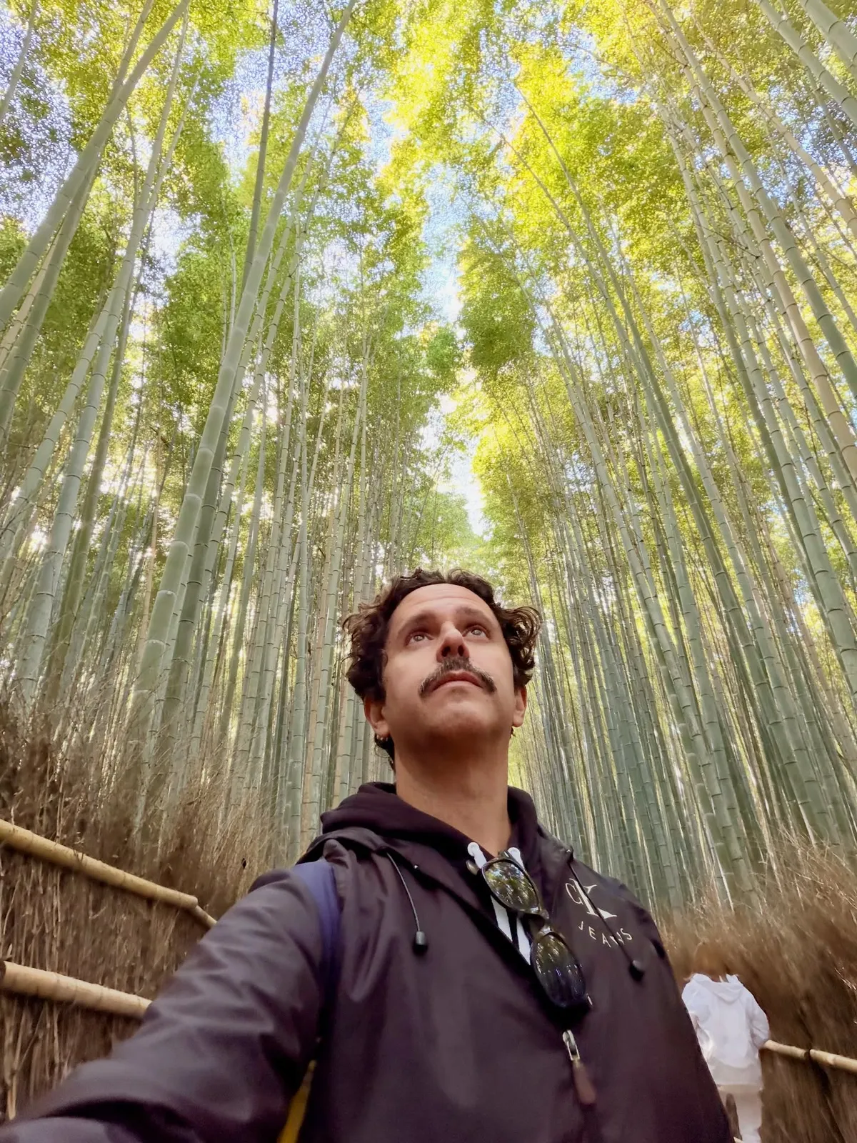 Kamil en el bosque de bambú de Arashiyama